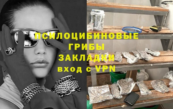 ГАЛЛЮЦИНОГЕННЫЕ ГРИБЫ Белоозёрский