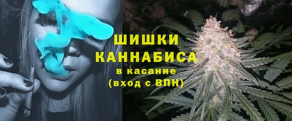 ГАЛЛЮЦИНОГЕННЫЕ ГРИБЫ Белоозёрский