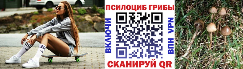 закладка  Краснознаменск  Галлюциногенные грибы ЛСД 